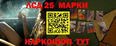тгк Владивосток
