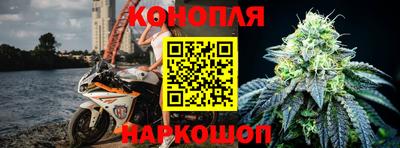 тгк Владивосток