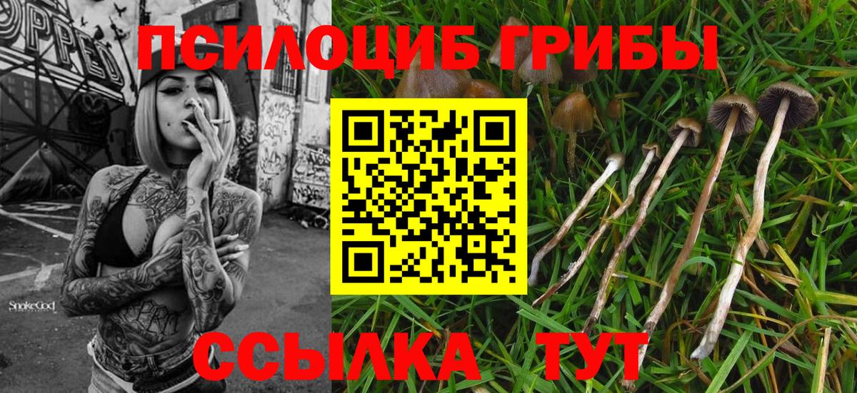Псилоцибиновые грибы Magic Shrooms  Вход с VPN  Барнаул 